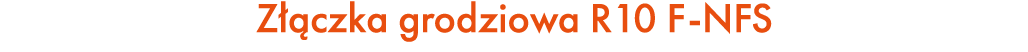 Z czka grodziowa R10 F NFS